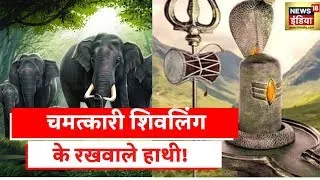 Chhattisgarh | चमत्कारी शिवलिंग की तलाश, जिसकी रखवाली कर रहे हाथी! | Aadhi Haqeeqat Aadha Fasana