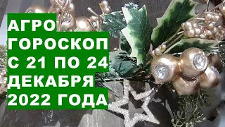 Агрогороскоп з 21 по 24 грудня 2022 року Агрогороскоп з 21 по 24 грудня 2022 року