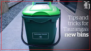 Tips and tricks for Tauranga's new bins | Local Focus