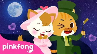 A História do Sr. Gato 😺 | Fazenda do Pinkfong | Pinkfong, Bebê Tubarão! Canções para Crianças