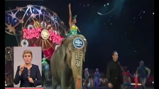 У Нью-Йорку відбулось останнє шоу цирку "Рінглінг Бразерс"
