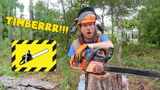 Handyman Hal cuts down a Tree with a Chainsaw | Awesome Tools for Kids