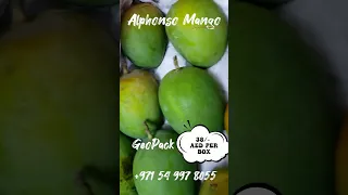 Alphonso Mango in just 38/- AED Per Box, Order Now #alphonso #mango #geopack