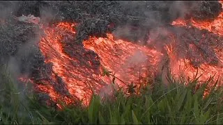 Une petite ville d'Hawaï menacée par la lave