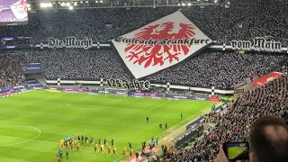 Eintracht Frankfurt 3-1 TSG Hoffenheim | 2 Platzverweise und Choreo