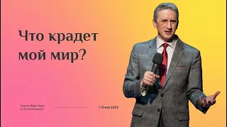 Что крадет мой мир? (Николай Литвин)