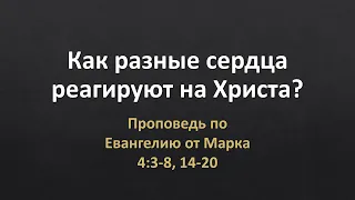 Евангелие от Марка 4:3-8, 14-20 - "Как разные сердца реагируют на Христа?"