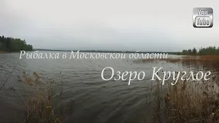 Рыбалка на озере Круглое. Рыболов, Бабакино, Химки, Московская область