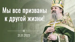 Мы не видим Ангелов, но они существуют! Проповедь о. Андрея Лемешонка после Литургии 21.11.2022 г.