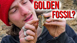 Hunting Rare Golden Fossils