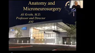 Anatomy and Microneurosurgery