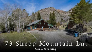 73 Sheep Mountain Ln Cabin Escape for Sale Cody WY