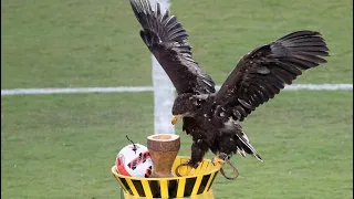 ΕΠΟΣ! Ο Αετός της ΑΕΚ φέρνει την μπάλα για την πρώτη σέντρα στην Αγιά Σοφιά-ΟΠΑΠ Arena!
