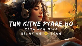 tum kitne pyare ho song || new song 2024 🥰 #viral #viralvideos #song2024