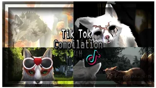 🌹Tik Tok Compilation WildCraft #4🌹