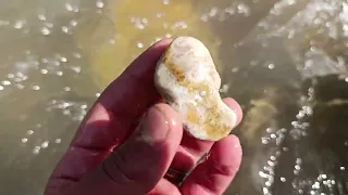 Discovering special beautiful stones in the river🪨