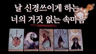 [타로카드] 상대방의 진짜 속마음👀✨탈탈 털어봅시다. (연애/썸/친구 등 대상선택자유)