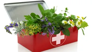 Top Must Have 20 Herbs for First Aid