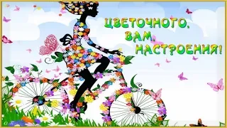 🌺ЦВЕТОЧНОГО НАСТРОЕНИЯ!🌺КРАСИВАЯ ВИДЕО ОТКРЫТКА🌺