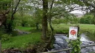 Red Squirrel in Grasmere Cumbria  - Lake District holiday