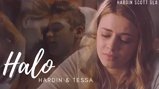 Hardin and Tessa (+AWC) | Halo