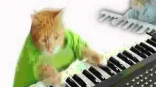Wonderful Pistachios Commercial Generations of Keyboard Cat version.