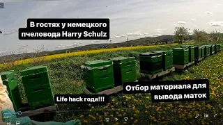 В гостях у пчеловода Harry Schulz. Отбор материала для вывода маток. Besuch bei Imker Harry Schulz.