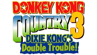 Boss Boogie (Restored) [1HR Looped] - Donkey Kong Country 3: DKDT! Music