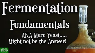 Fermentation Fundamentals - More Yeast Is NOT the Answer!