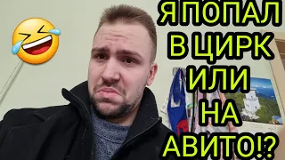 Бомбит с клоунов на Авито