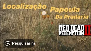 REDR2! Planta Papoula da Pradaria 🌼