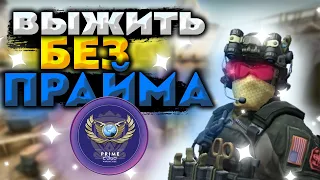 МОЖНО ЛИ ИГРАТЬ БЕЗ ПРАЙМА?! (CS:GO)