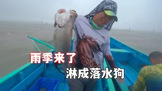 苏里南的雨季来了，向老铁们请假，打算回国拜拜妈祖 #赶海