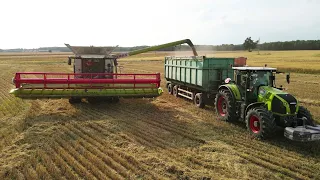 Akcja żniwa 2023🇵🇱🔥[z CLAAS-Ą]🔥Prasowanie słomy🔥[ LEXION 6700, 2x CLAAS, CLAAS VARIANT 460RC ]🔥