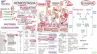 Hemostasia Fisiológica