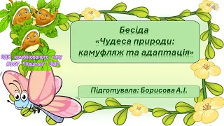 Бесіда з дітьми "Чудеса природи: камуфляж та адаптація"