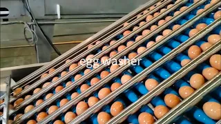 Egg washer,wash egg equipment
