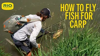 How To Fly Fish For Carp S5 E11