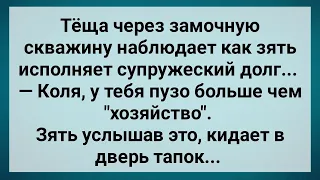 Теща Наблюдает Как Зять Исполняет Супружеский Долг! Сборник Свежих Анекдотов! Юмор!