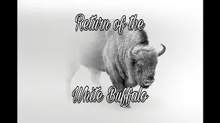 The White Buffalo Prophecy: A Cosmic Connection