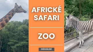 Africké Safari | ZOO Dvůr Králové nad Labem