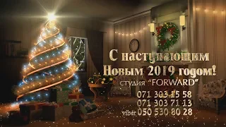 С Новым Годом 2019!