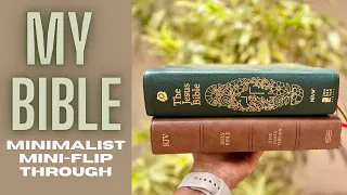 The Jesus Bible (My Mini-Flip Through) #biblestudy