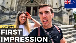 NOBODY TOLD US THIS! First Impression Dunedin, New Zealand South Island🇳🇿