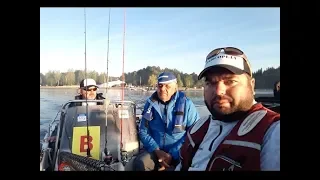 Latvijas čempionāts spiningošanā no laivām 2019 Trešais posms   Alūksnes ezers