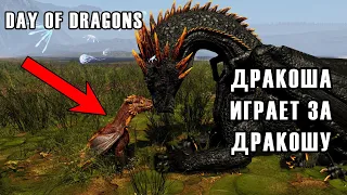 Дракошка | Обзор крутой PVP ► Day of Dragons