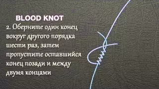 Кровавый узел или Blood knot