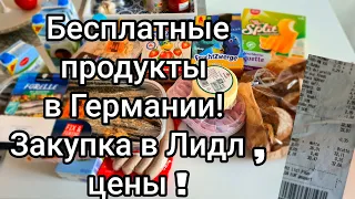 Германия ! Бесплатные продукты в Германии .Магазин Лидл / Закупилась на 32 Евро .Обзор продуктов !