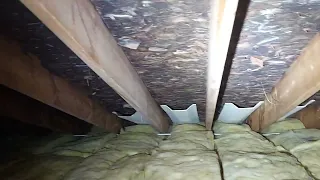 Attic inspection