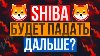 Shiba ЧТО ДАЛЬШЕ? БУТЕРИН ОТВЕТИЛ!